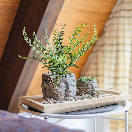 Ferienwohnpark Nurdachhaus Typ 8 بيت للعطل